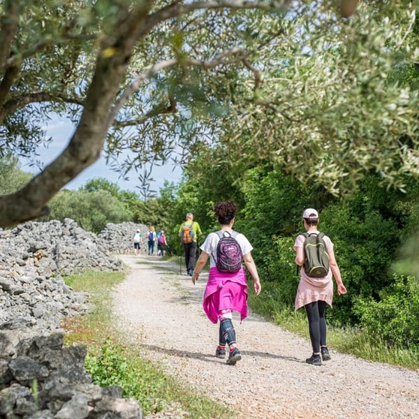 Island Trail Krk