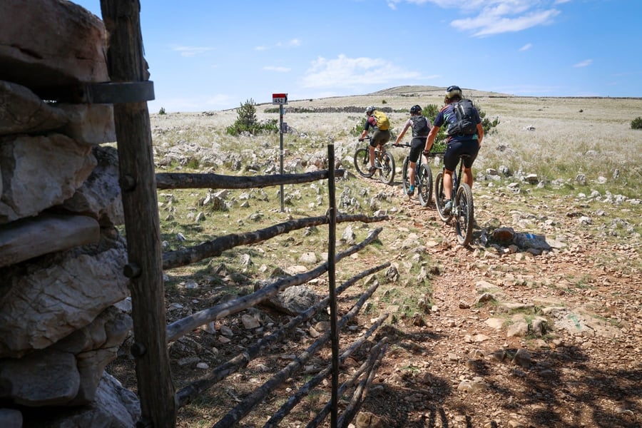 Mountainbike Adventures