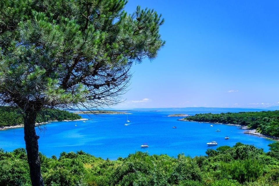 Island Escape